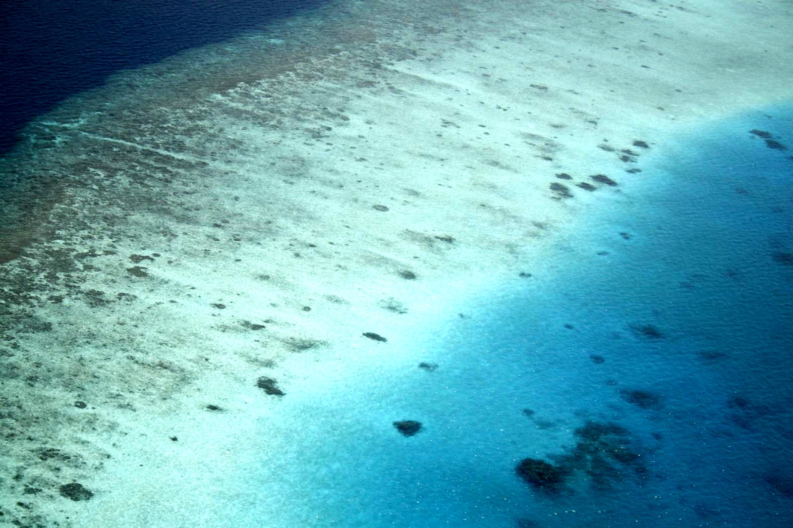Maldives beach and clear water